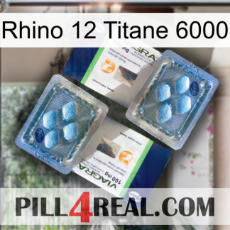 Rhino 12 Titanium 6000 viagra5